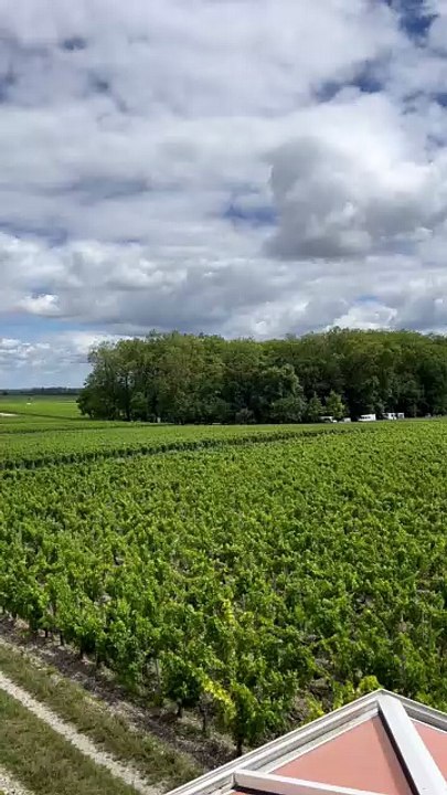 QUELQUES BOUTEILLES Château Pape Clément