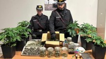 Sellia Marina (CZ) - Serra domestica per coltivare marijuana: arrestato 55enne (04.03.26)