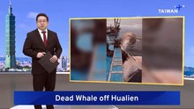Large, Possibly Rare 15-Meter Whale Found Dead off Hualien