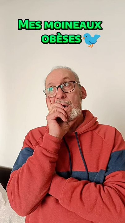 Les moineaux dans mon jardin 🐦🥴