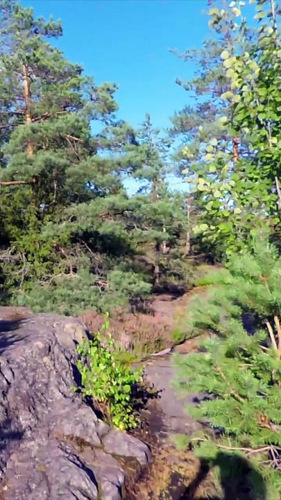 Högberget