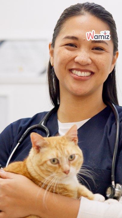 Santé animale : la stérilisation