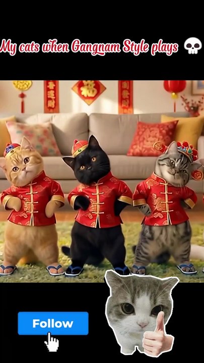 Cute Cats Dancing to Gangnam Style | Funny Animal Video