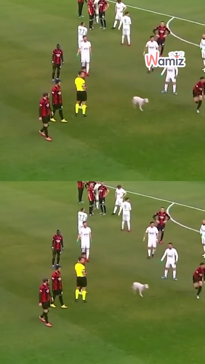 Actu : interruption lors de compétitions sportives