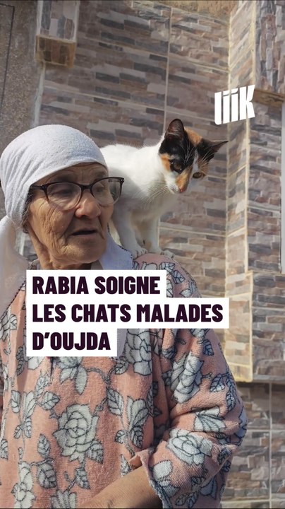 Rabia soigne les chats malades d'Oujda