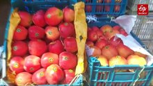 Iran–US–Israel Conflict Disrupts Fruit Trade; Apple Prices Rise, Indian Exports Stuck At Ports