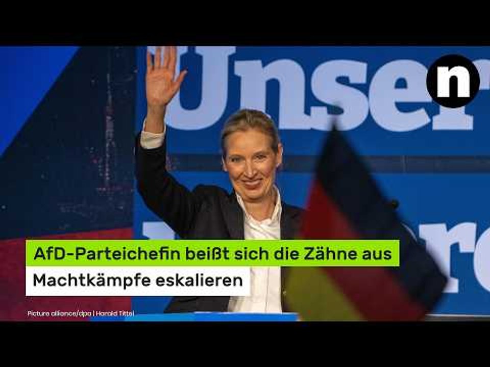 Alice Weidel hilflos: AfD-Parteichefin beißt sich die Zähne aus - Machtkämpfe eskalieren