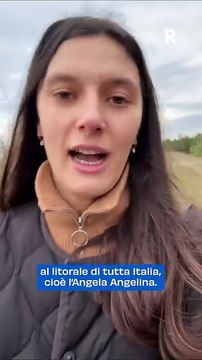 Lido di Dante: L'erosione costiera minaccia la pineta e gli stabilimenti balneari