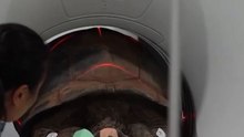 109-year-old giant tortoise undergoes medical scan