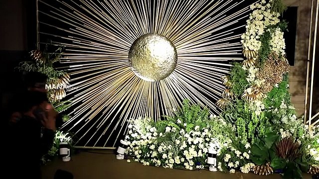 Actress Sreeleela Visuals @ Vijay Deverakonda & Rashmika Mandanna Reception