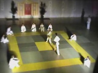 Gala d'Arts Martiaux des Clayes - Section Tae Kwon Do