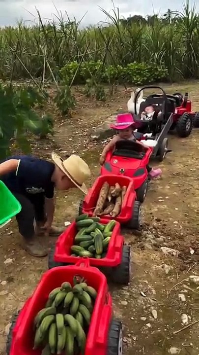 Cute Kids Farming Adventures: Driving Mini Tractors with Baby, Rabbits, and Geese!