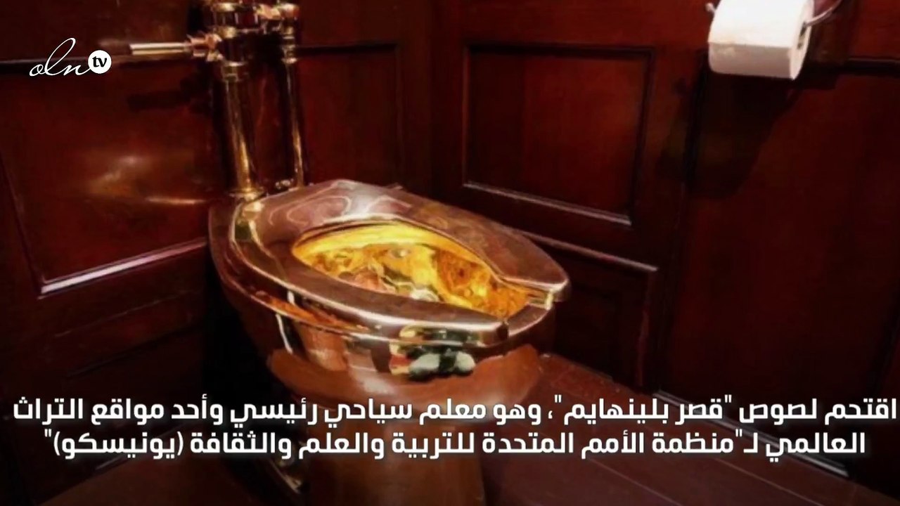 سرقة مرحاض بقيمة 5.9 مليون دولار