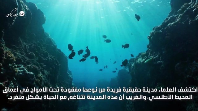 اكتشاف مدينة مفقودة في أعماق المحيط لا مثيل لها على الأرض