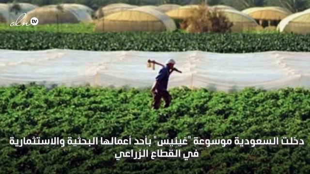 أكبر مزرعة مستدامة في العالم تدخل السعودية موسوعة غينيس
