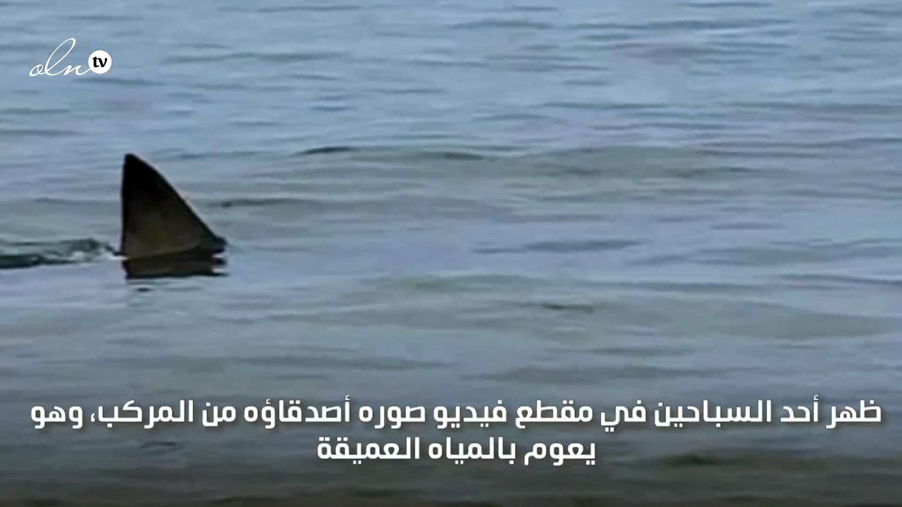 سباح يعيش لحظات رعب بعد مرور سمكة قرش أسفله