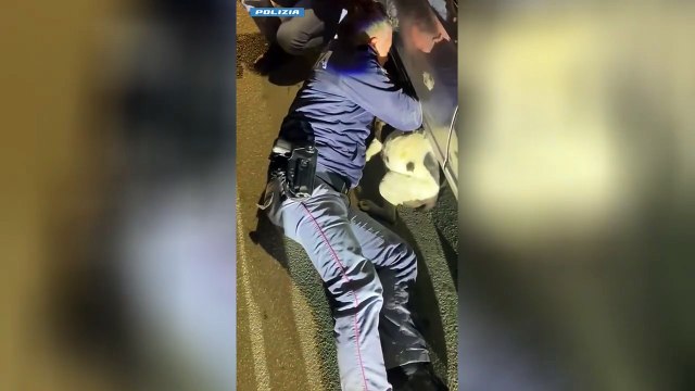 Image from field_mediaid