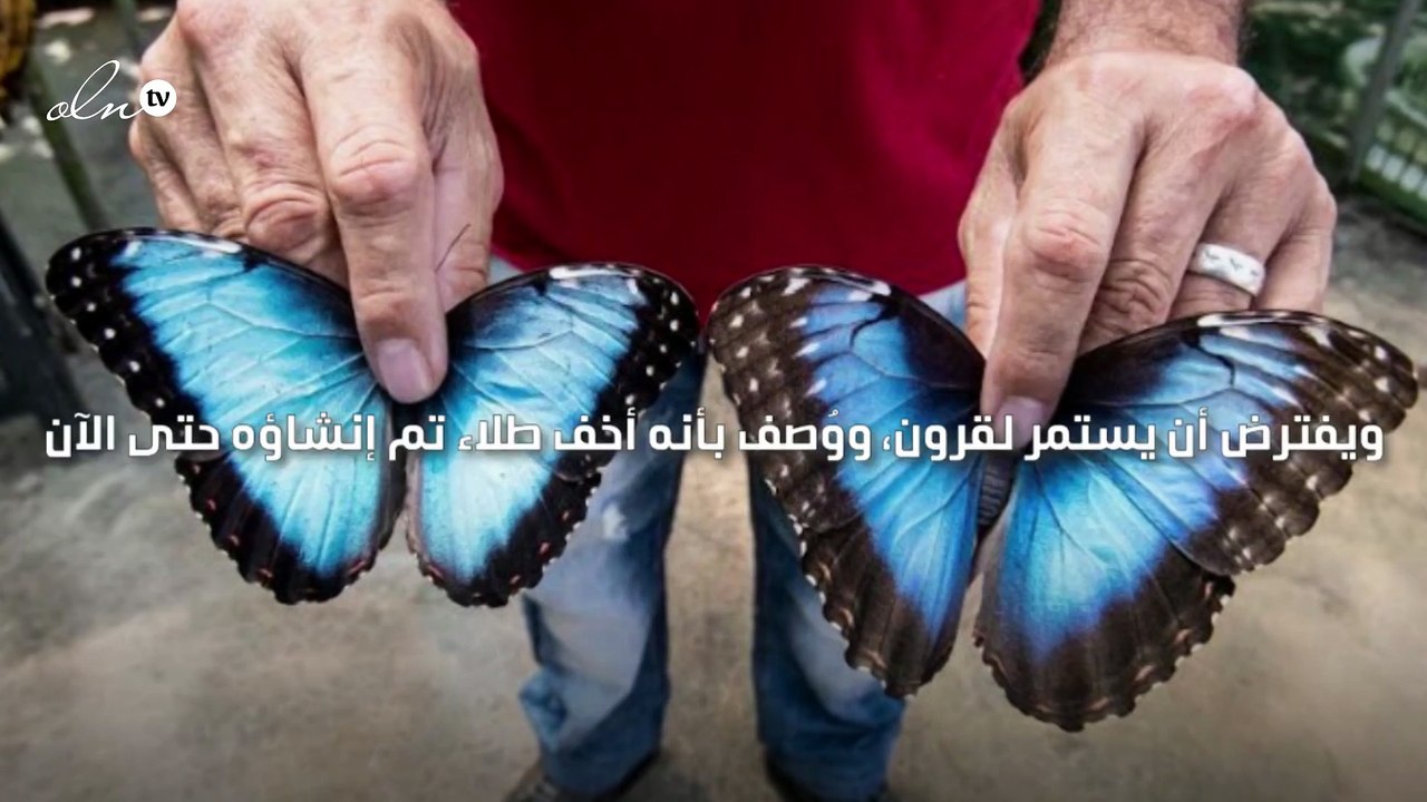 باحثون يطوّرون أخف طلاء في العالم