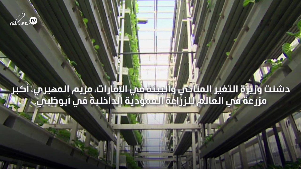أبوظبي تدشن أكبر مزرعة في العالم للزراعة العمودية
