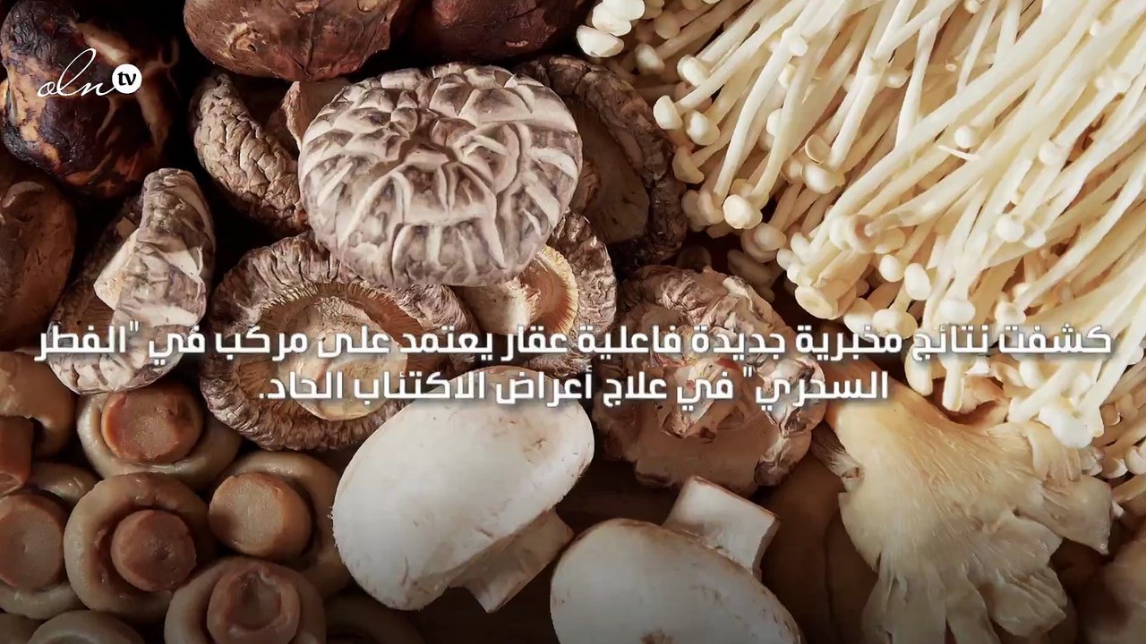 دراسة تكشف قدرة الفطر السحري على علاج الاكتئاب الشديد