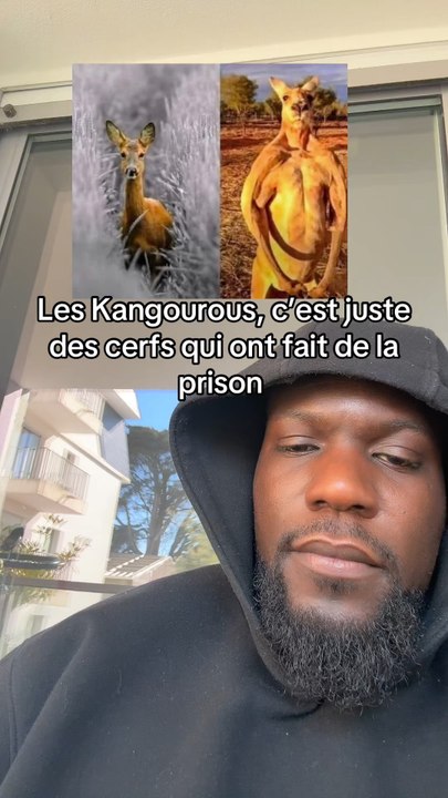 Je dis ça, je dis rien | abonne toi