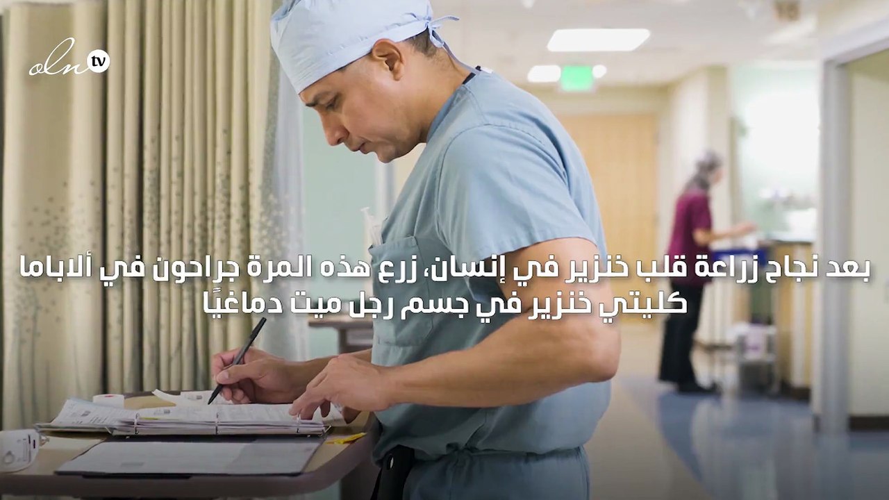 زرع كليتين حيوانيتين معدلتين وراثياً في جسم إنسان بعد نجاح عملية زراعة القلب