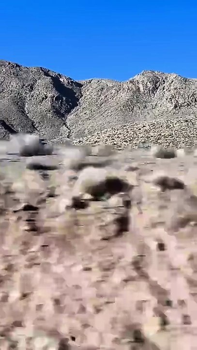 Şıraz'a trenle 15 saat süren yolculuk yaptım! Zagros dağları da beni takip etti