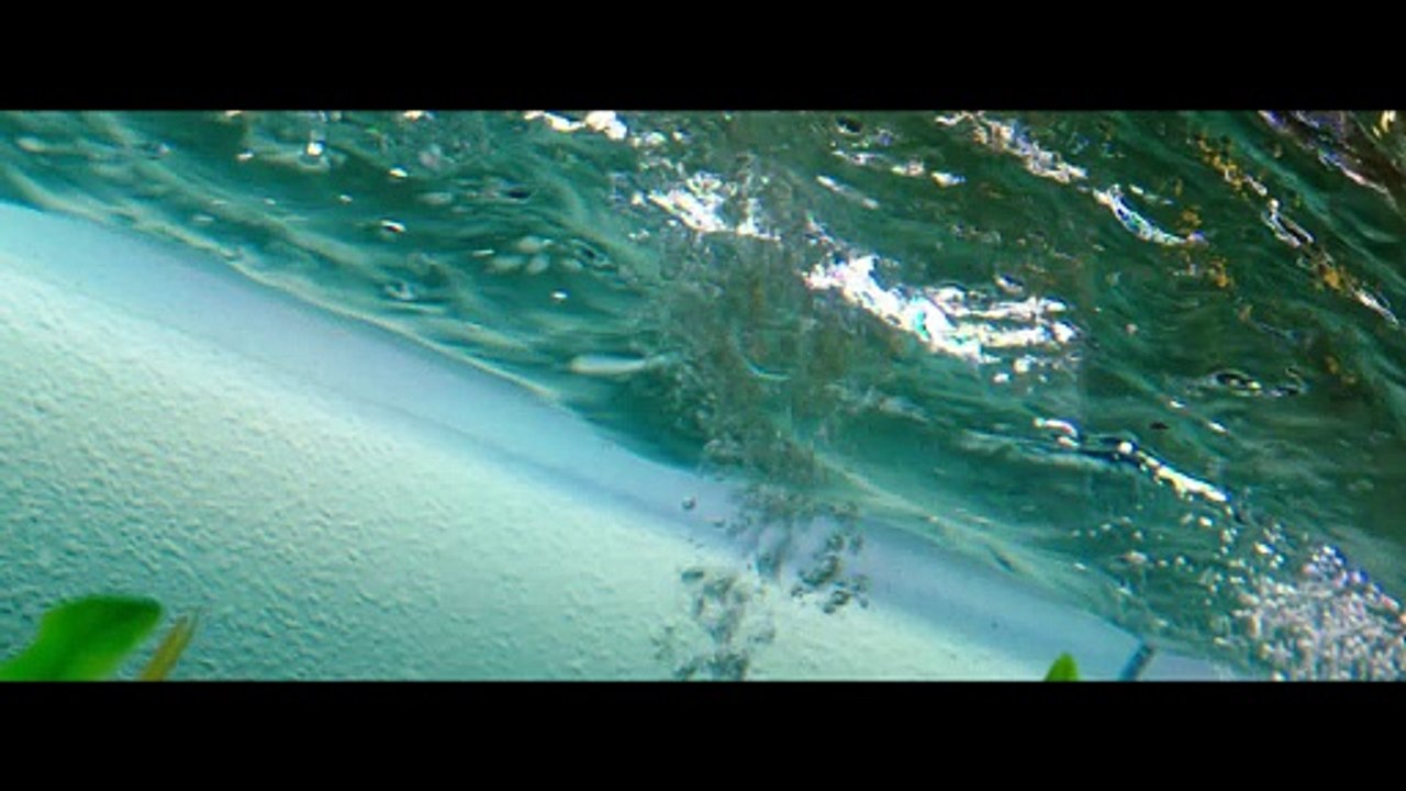 Mermaid Movie (2026) - video Dailymotion