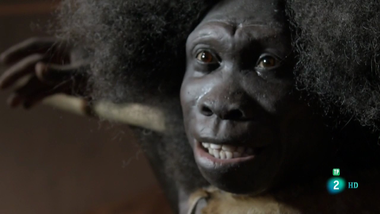 ARQUEOMANÍA - Neandertales, la otra humanidad