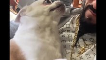 Agozzino Alfredo story con i suoi amici animali