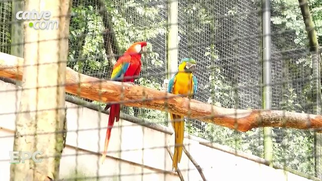 MPPR aponta falhas na educação ambiental no Oeste
