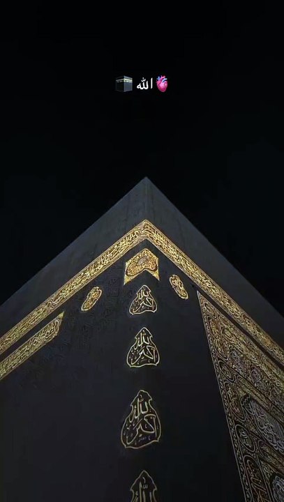 ##🇯🇵 japan is turning footsteps 494 into electricity! Using piezoelectric tiles, every step yo