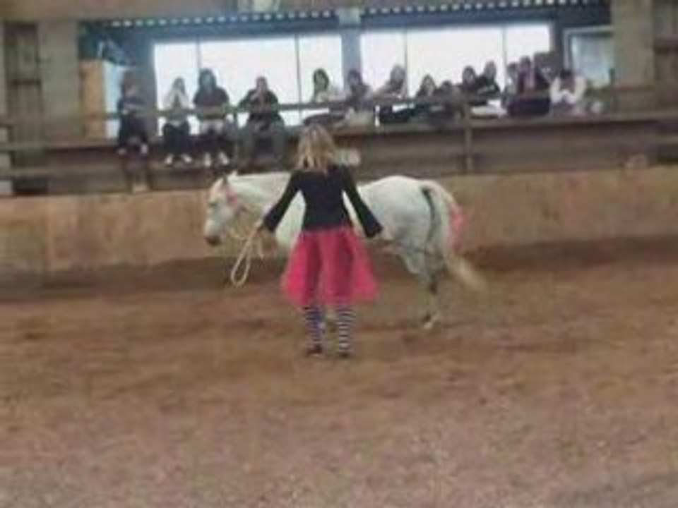 Spectacle Indiana saut d'obstacle
