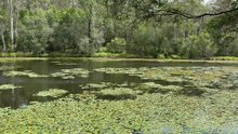 Enoggera Reservoir 01