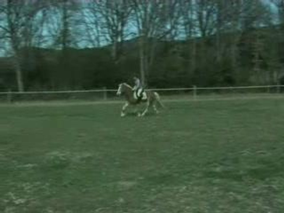 Cross_oxer