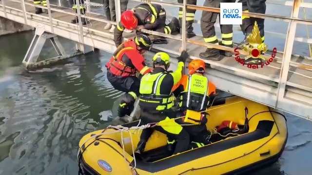 Vigili del fuoco salvano una lupa caduta in un canale nel nord Italia