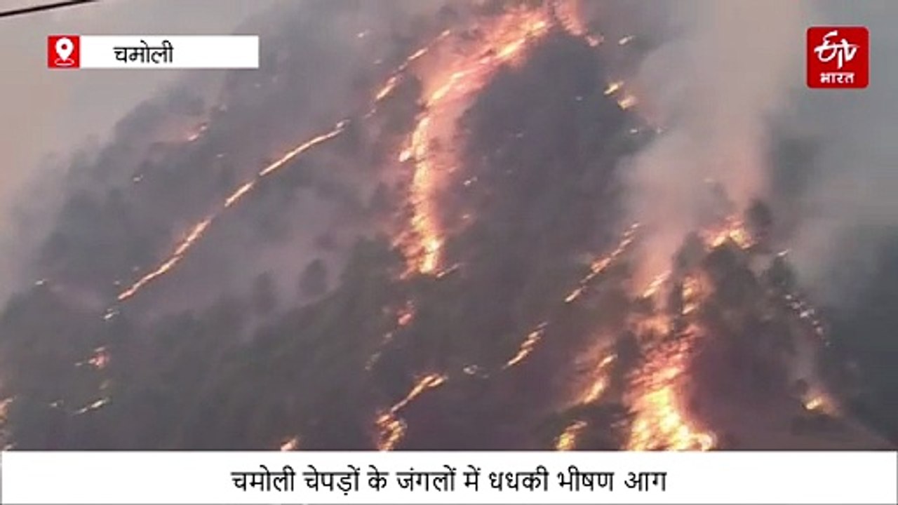 चमोली चेपड़ों के जंगलों में धधकी भीषण आग, काबू पाने में वन विभाग के छूटे पसीने