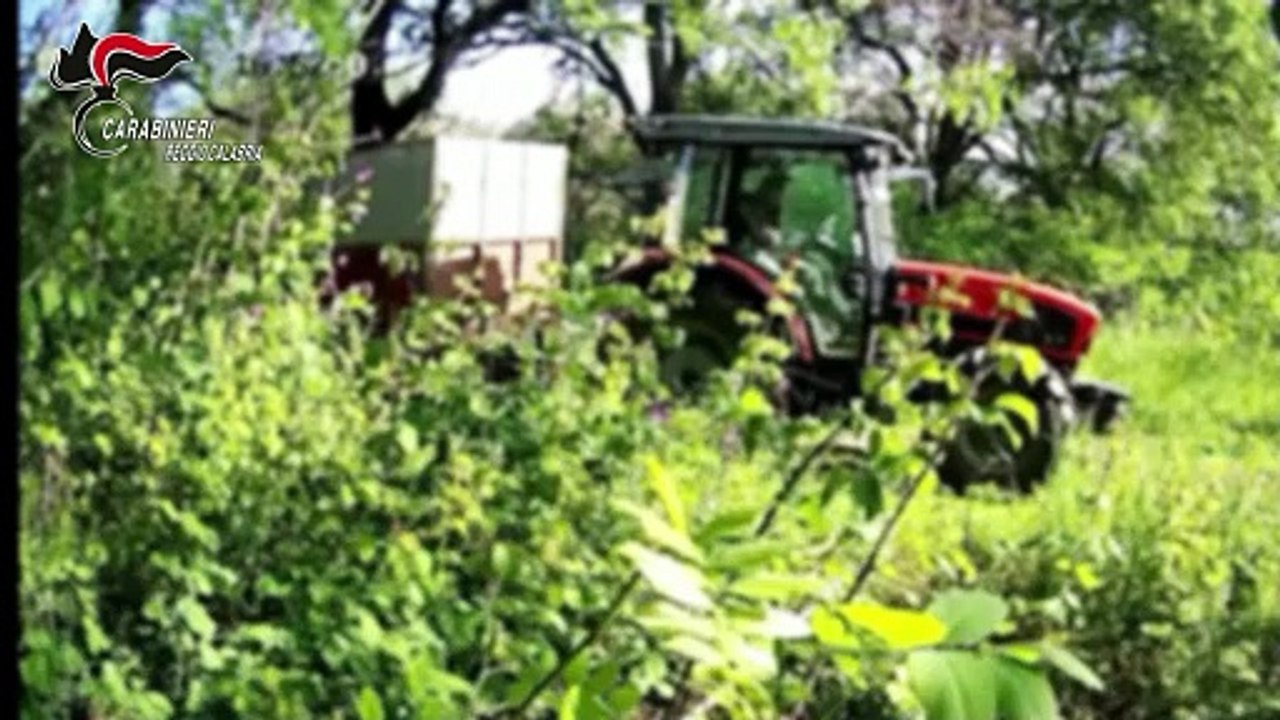 L'ennesima discarica abusiva nella Piana di Gioia Tauro: 15 denunce e sequestri