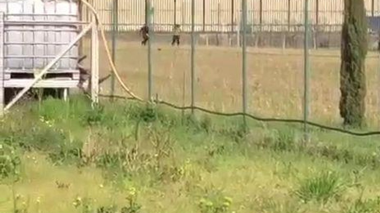 Prato ecco il lancio della droga che ha scatenato la rivolta nel carcere de La Dogaia