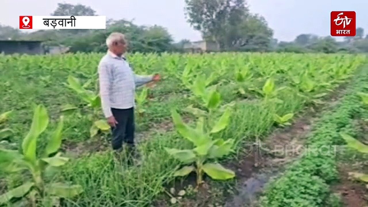 रासायनिक खेती को कहा अलविदा, किसान बाबूलाल ने स्वंय खाद बना प्राकृतिक खेती से बदली तस्वीर