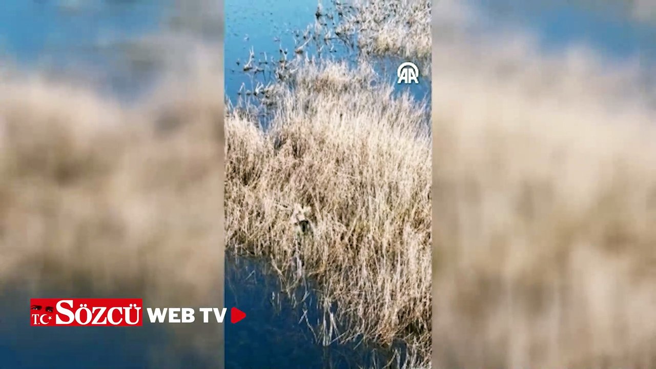 Şanlıurfa'da dronlu denetimlerde yasa dışı avcılık yapan 11 kişiye idari işlem uygulandı