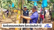 .ดันกล้วยหอมทองเสิงสาง ขึ้นทะเบียนสินค้า GI  | เนชั่นทั่วไทย | 05 มี.ค. 69 | PART 2