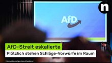AfD-Streit eskalierte - plötzlich stehen Schläge-Vorwürfe im Raum