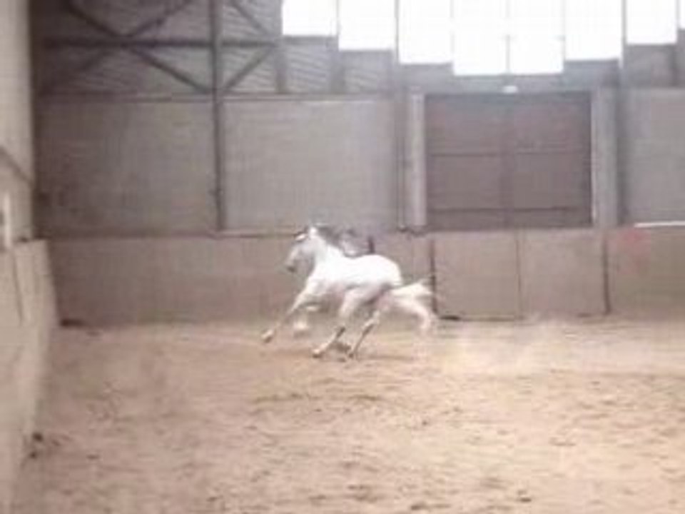 MOV06508