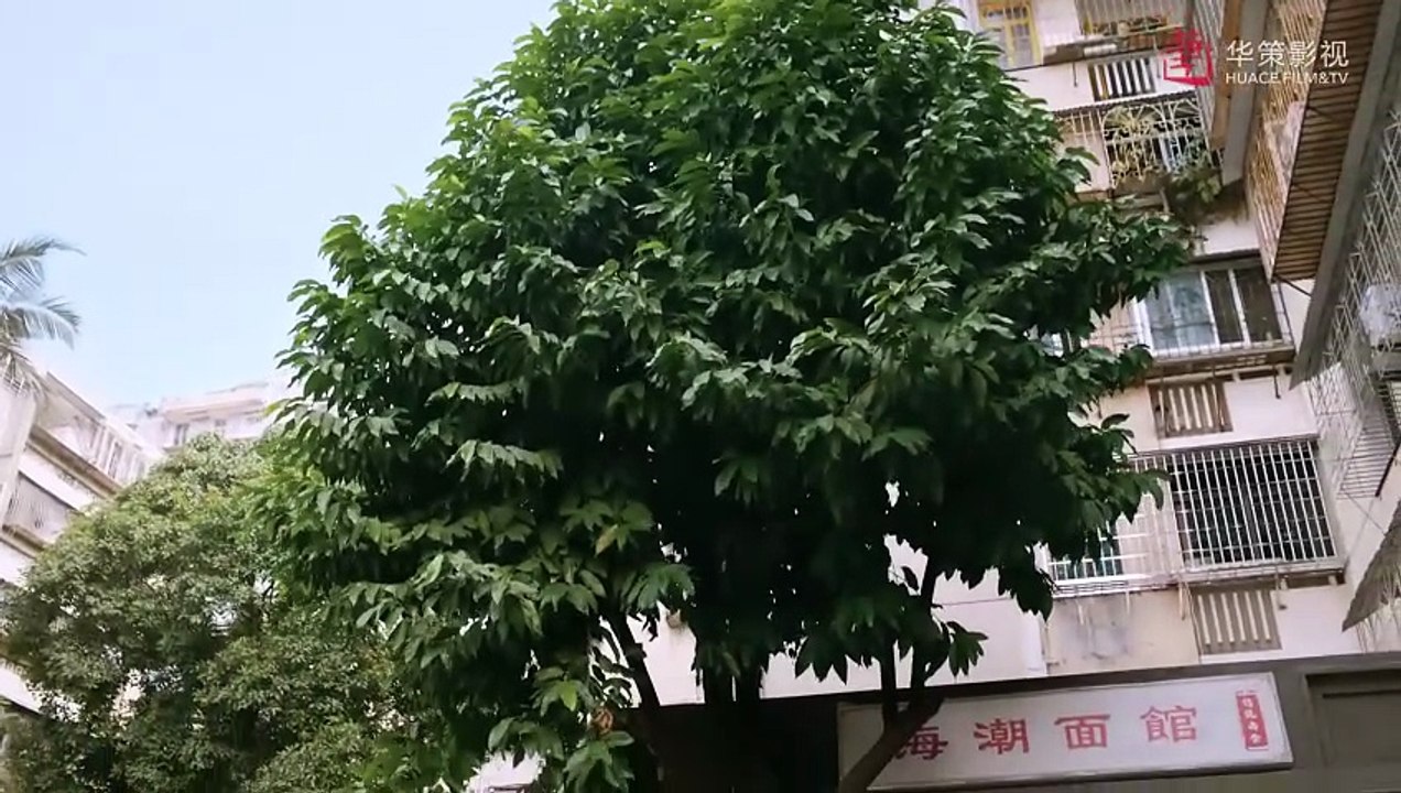 Go Ahead EP1 | Starring: Tan Songyun, Song Weilong, Zhang Xincheng| Romantic Comedy Drama
