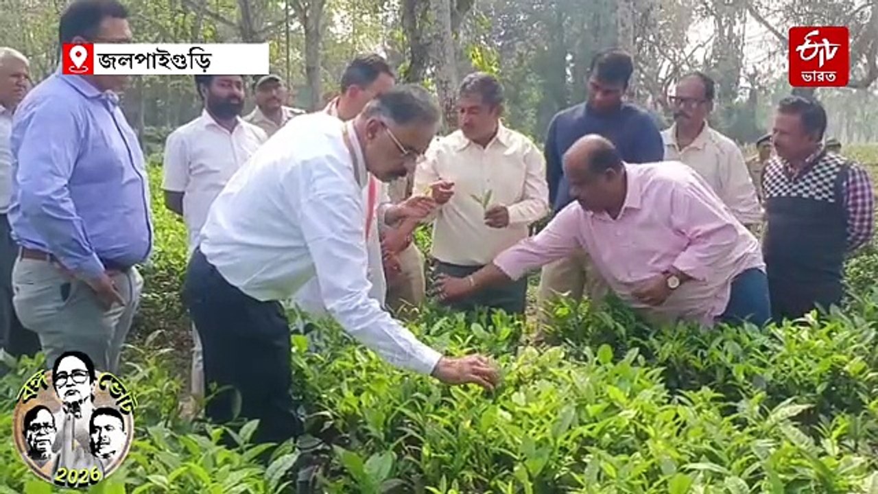 খুব শিঘ্রই চা বাগানের জন্য বিশেষ প্যাকেজ আনছে ক...