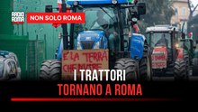Il 6 marzo i trattori tornano a Roma: "L'agricoltura italiana è in agonia, devono ascoltarci"