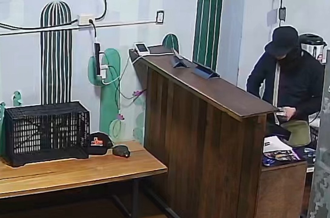 VIDEO | Exhiben a ladrones sueltos tras asalto en negocio de Juárez, Nuevo León