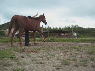 Kahlia jambettes à pied