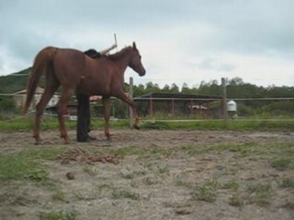 Kahlia jambettes à pied
